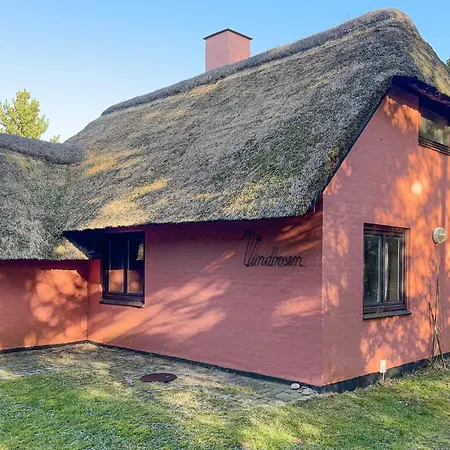 Amazing In With Wifi Holiday home Ulfborg